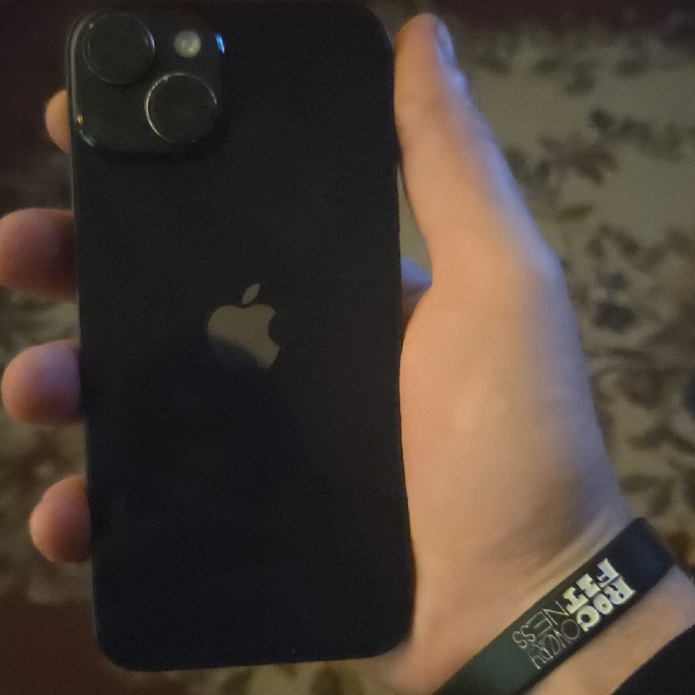 Apple Black iPhone Rear Panel with Dual Camera